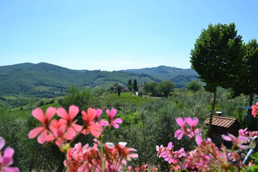 Terre Di Melazzano - Le Case Di Chiara Greve in Chianti Eksteriør billede