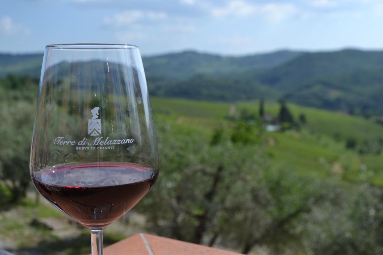Terre Di Melazzano - Le Case Di Chiara Greve in Chianti Eksteriør billede