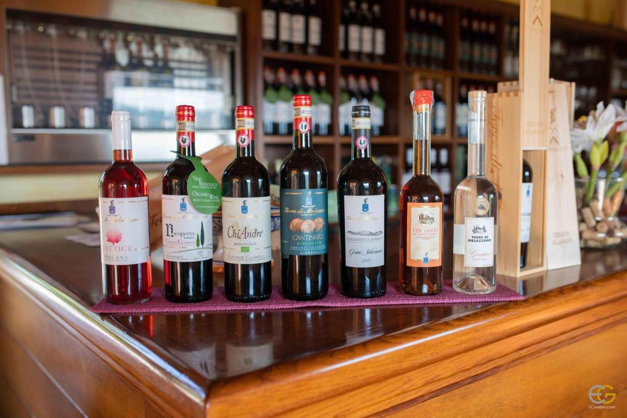 Terre Di Melazzano - Le Case Di Chiara Greve in Chianti Eksteriør billede